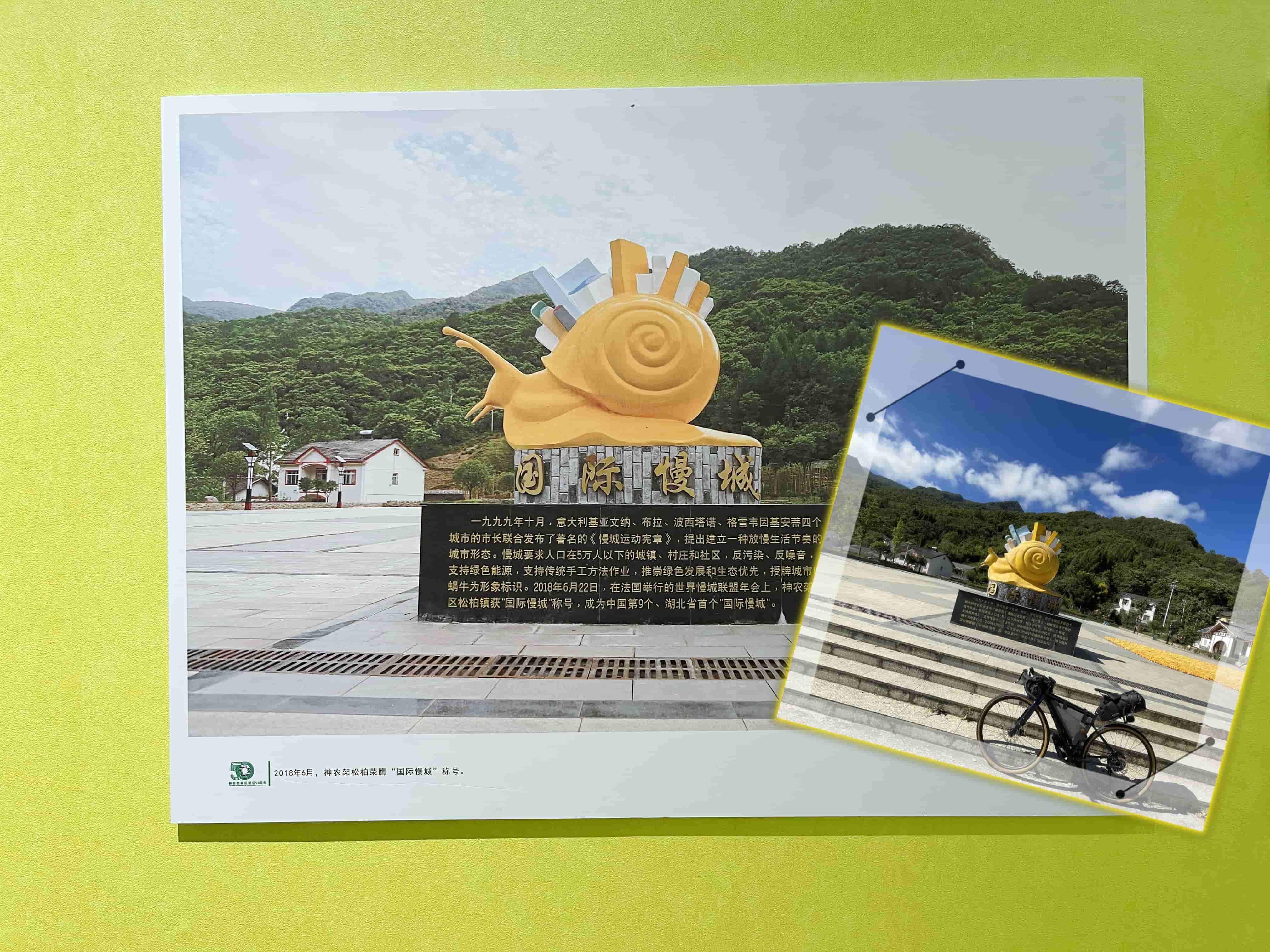 国际慢城•松柏