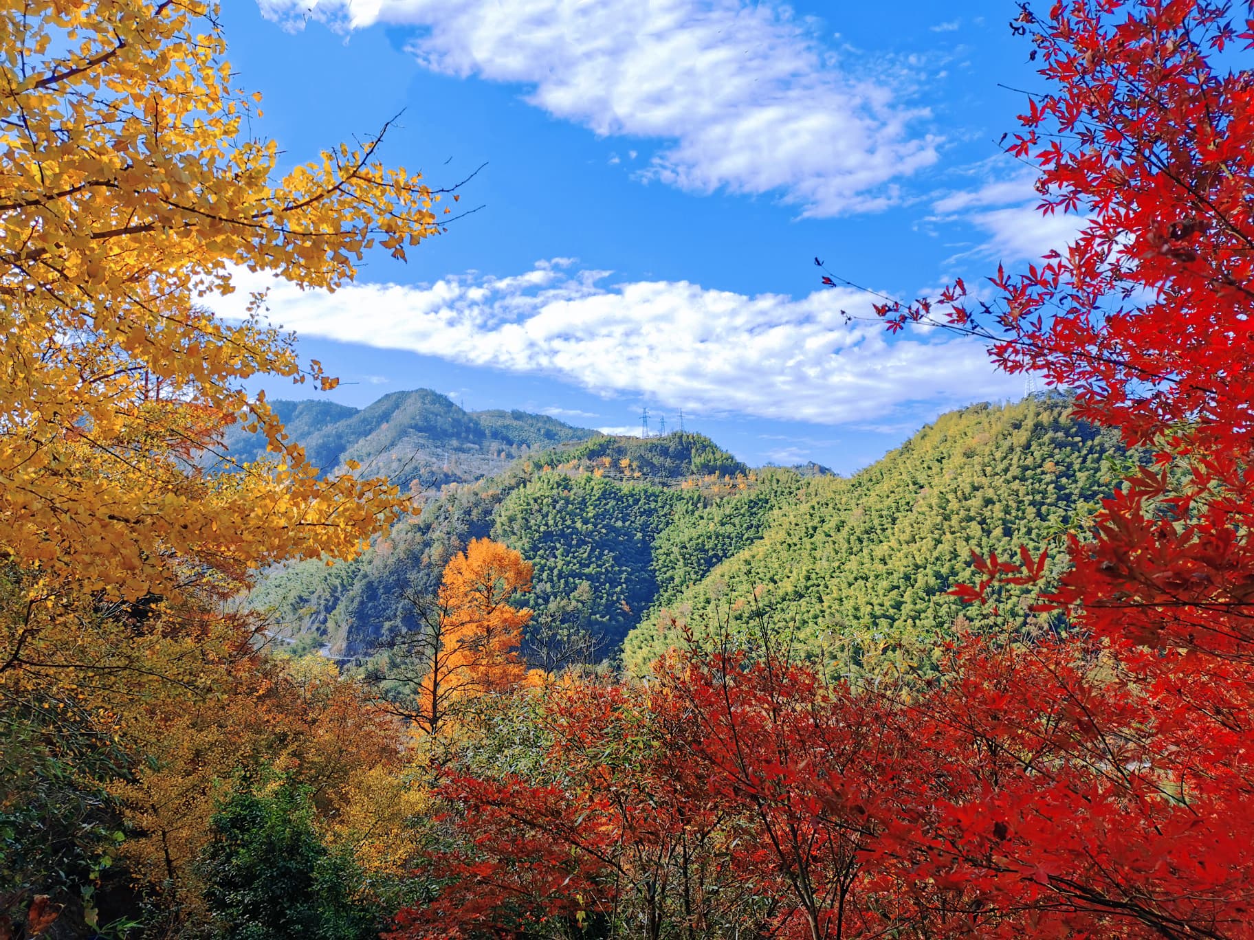山水寻秋•四明山