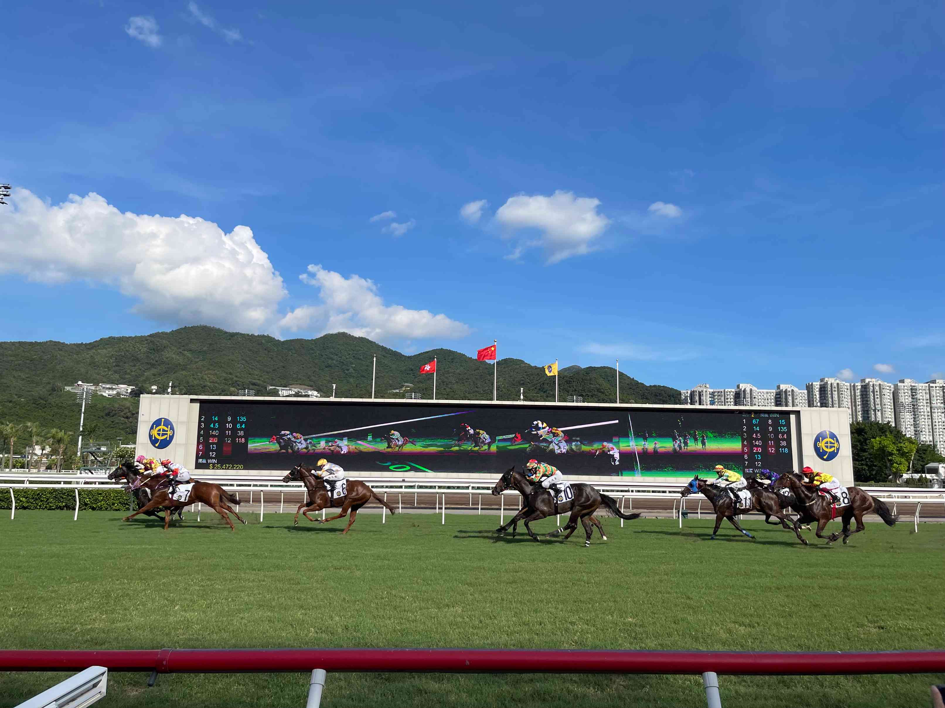 沙田赛马