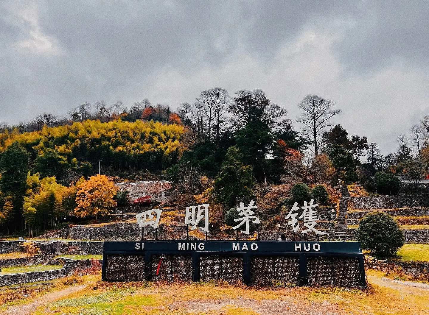 浙东第一古树村•殇•茅镬